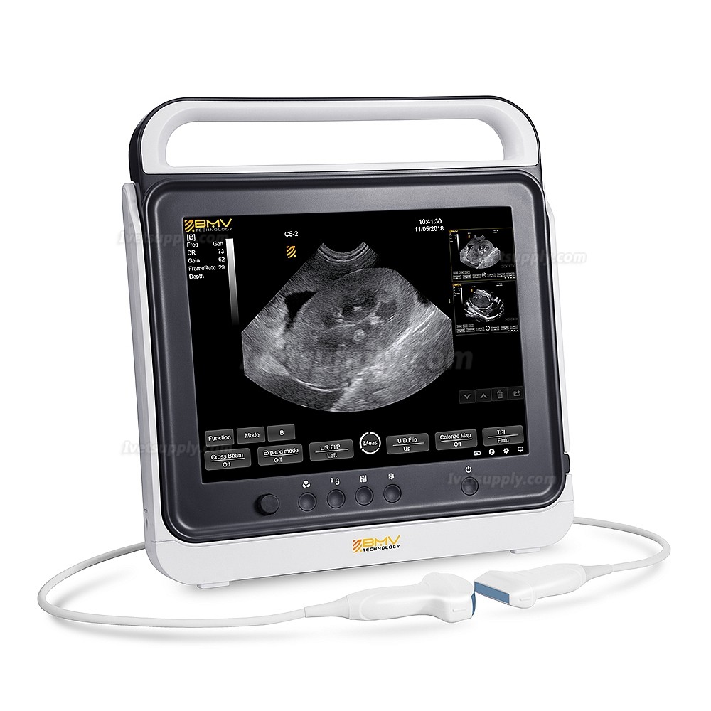 BMV HV-50C Touch Color Doppler System Veterinary Portable Ultrasound Scanner Machine For Animal